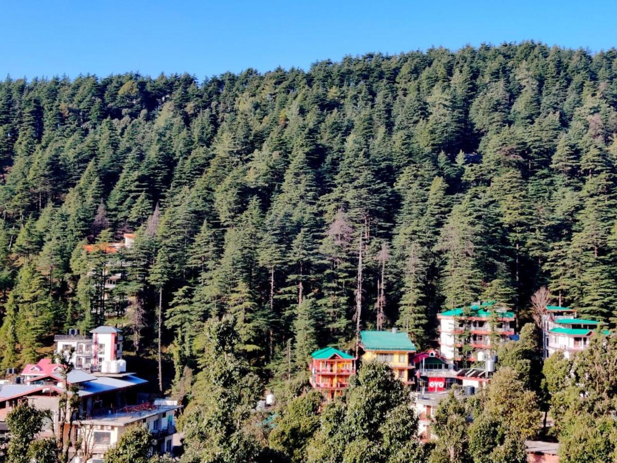 Nomadic Inn Dharamshala Dış mekan fotoğraf
