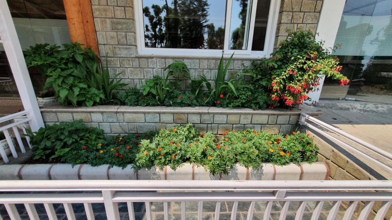 Nomadic Inn Dharamshala Dış mekan fotoğraf