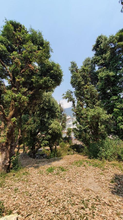 Nomadic Inn Dharamshala Dış mekan fotoğraf